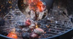 THM Houtskoolbriketten - Voordeelpak - 18kg 9 THM Houtskoolbriketten - Voordeelpak - 18kg -Merkloos Winkel 1200x642