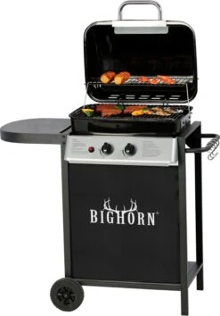 Bighorn Gasbarbecue En Grill – 2 Branders – Zwart -Merkloos Winkel 838x1200 1